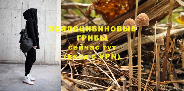 а пвп мука Алзамай