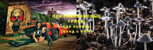 ПСИЛОЦИБИНОВЫЕ ГРИБЫ Алексин