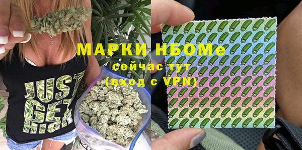 ПСИЛОЦИБИНОВЫЕ ГРИБЫ Алексин