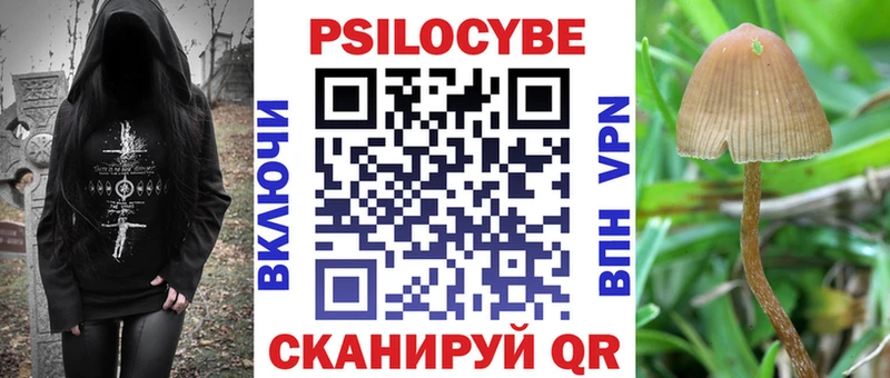 Псилоцибиновые грибы Psilocybe  гидра зеркало  Кашин 