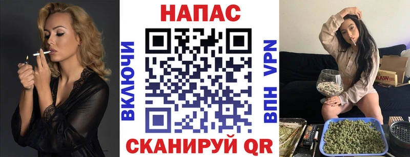 Каннабис ГИДРОПОН  Кашин 